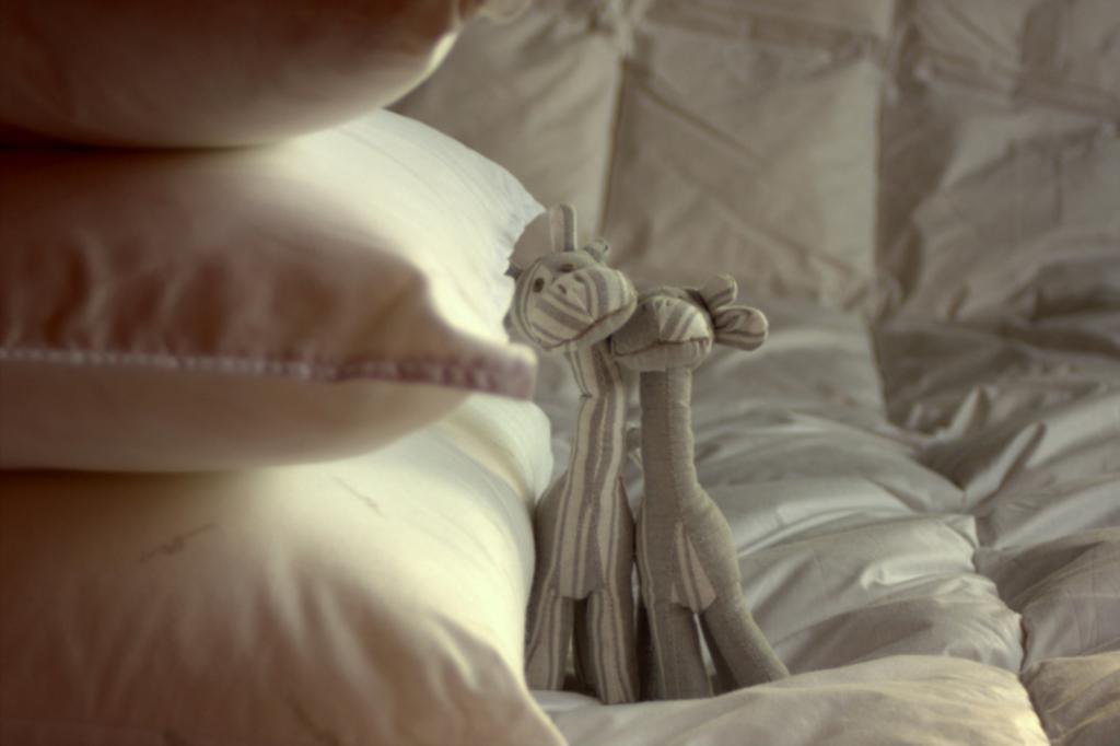 Couette-café Bb